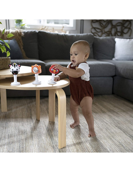 BB-12359,Baby Einstein - Set 3 jucarii multisenzoriale in forma de animalute