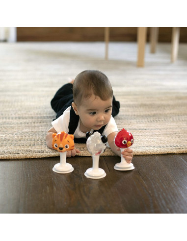 BB-12359,Baby Einstein - Set 3 jucarii multisenzoriale in forma de animalute