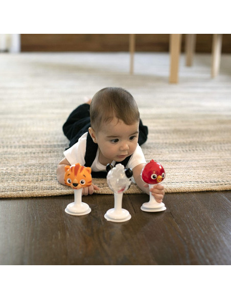 BB-12359,Baby Einstein - Set 3 jucarii multisenzoriale in forma de animalute