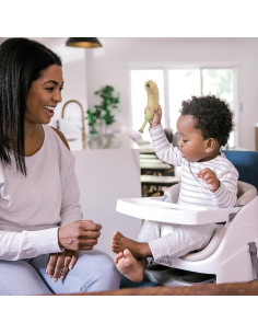 BB-10678,Ingenuity - Scaun masa 2 in 1 Cashmere 2