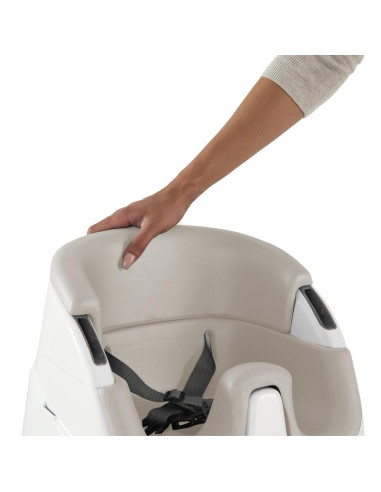 BB-10678,Ingenuity - Scaun masa 2 in 1 Cashmere