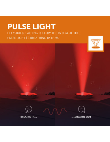 ZA-EMMY-01,Elefantul Emmy cu Lumina si Muzica Zazu Kids