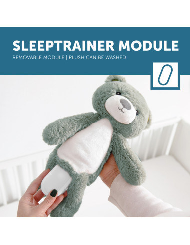 ZA-BRODY-03,Ursuletul Brody Antrenor de Somn Muzical cu Lumina, Roz,Zazu Kids