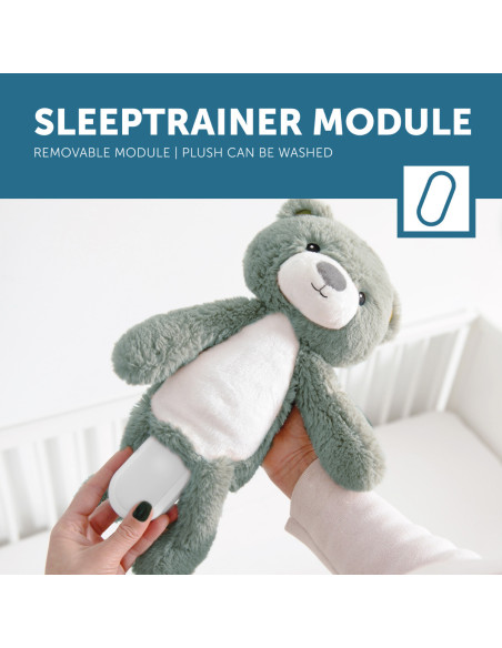 ZA-BRODY-02,Ursuletul Brody Antrenor de Somn Muzical cu Lumina, Bleu, Zazu Kids