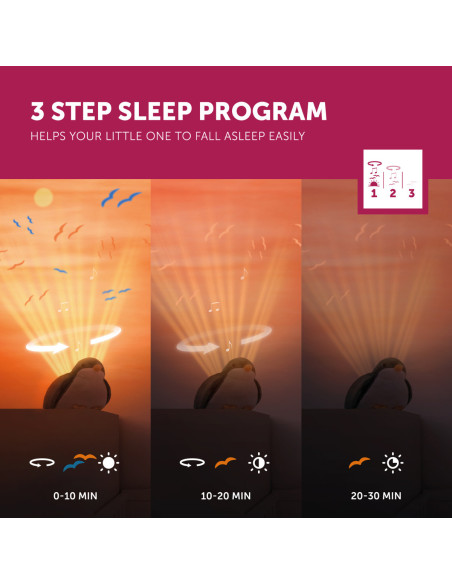 ZA-SHALLY-01,Proiector Muzical Apus de Soare Shally