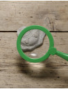 YD1041,Sa investigam! - Fosile