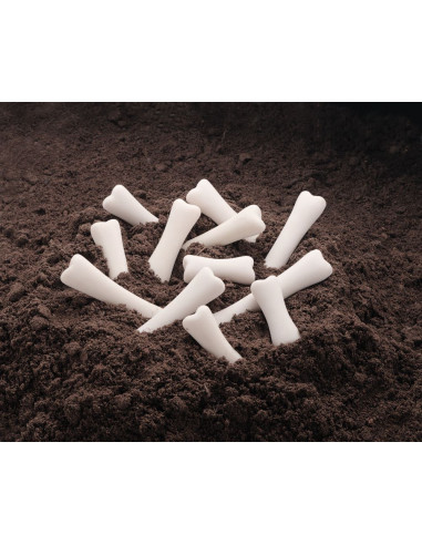 YD1038,Set descoperire Oase Dinozauri