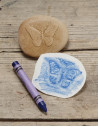 YD1042,Sa investigam! - Insecte