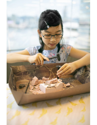 4M-03221,Set educativ Sapa si descopera Dinozauri - T-Rex