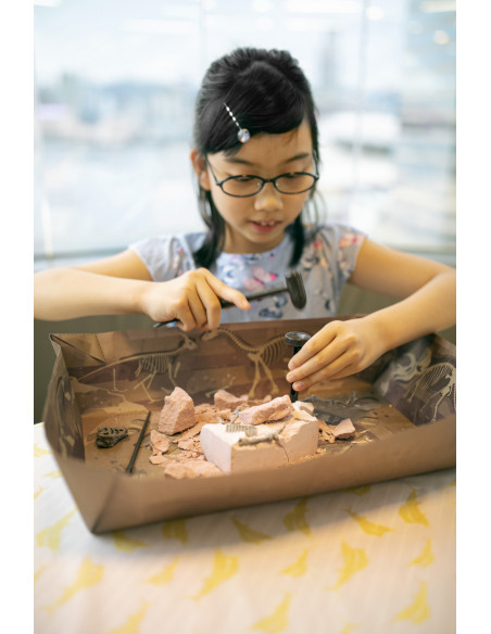 4M-03236,Set educativ Sapa si descopera Dinozauri - Mamut