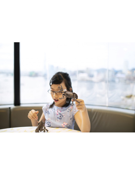 4M-03236,Set educativ Sapa si descopera Dinozauri - Mamut