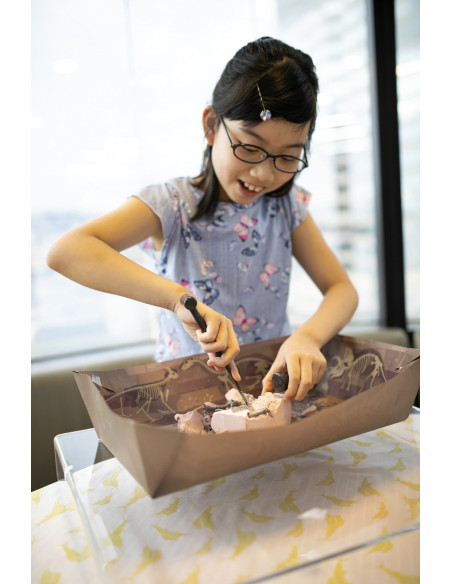 4M-03228,Set educativ Sapa si descopera Dinozauri - Triceratops