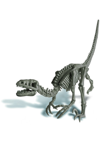 4M-13234,Set educativ Sapa si descopera Dinozauri - Velociraptor