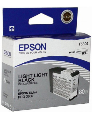 Cartus cerneala Epson Light Light Black T580900,C13T580900
