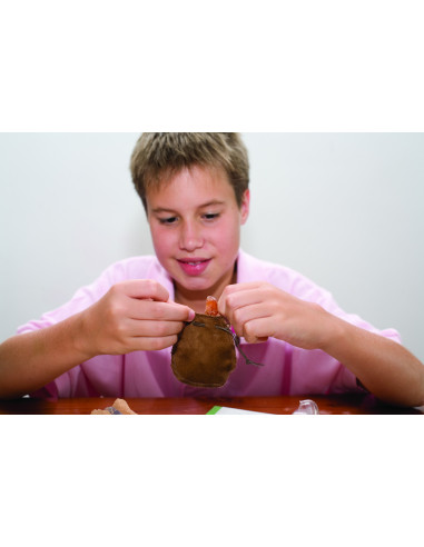 4M-03252,Kit de sapat cristale KidzLabs