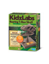 4M-03399,Jucarie Craniu de T-Rex cu sunete KidzLabs