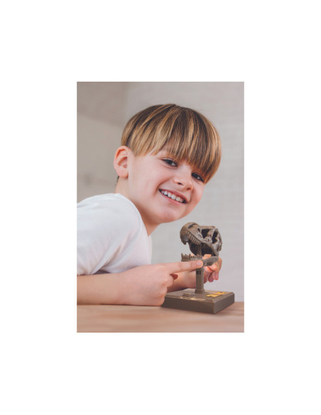 4M-03399,Jucarie Craniu de T-Rex cu sunete KidzLabs