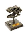 4M-03399,Jucarie Craniu de T-Rex cu sunete KidzLabs