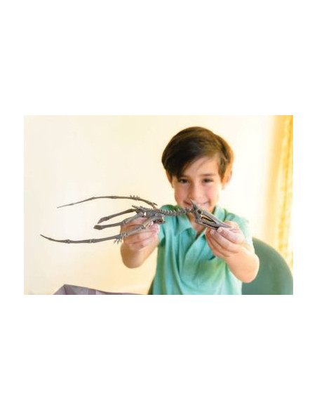 4M-03459,Set educativ Sapa si descopera Dinozauri - Pteranodon