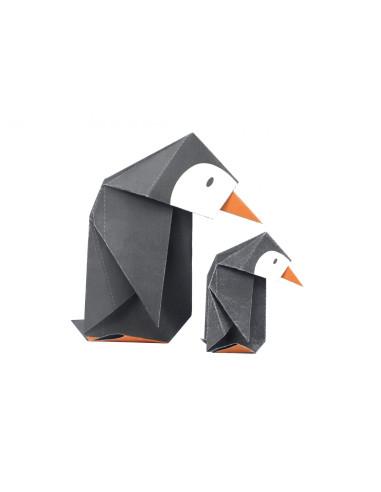 CH211785,Orimagi - Zoo - nivel 2