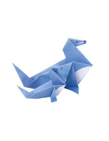 CH211785,Orimagi - Zoo - nivel 2