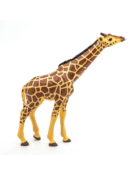 Papo50236,Papo Figurina Girafa Cu Cap Ridicat