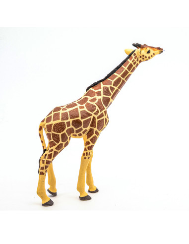 Papo50236,Papo Figurina Girafa Cu Cap Ridicat