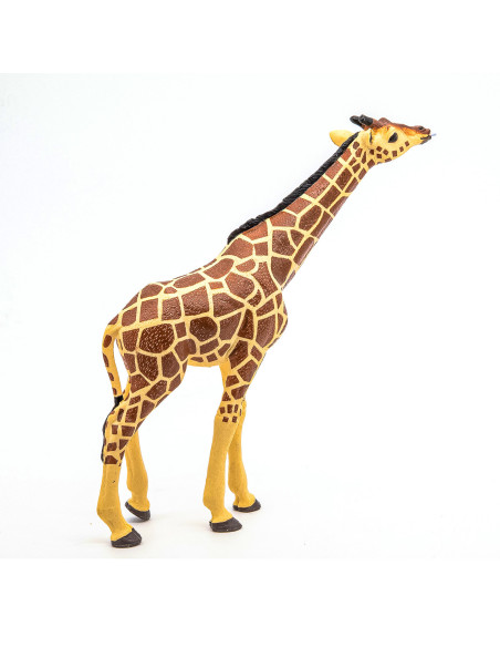 Papo50236,Papo Figurina Girafa Cu Cap Ridicat