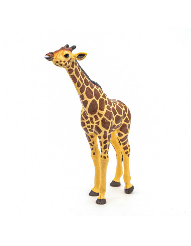 Papo50236,Papo Figurina Girafa Cu Cap Ridicat