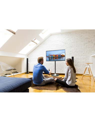 ICA-TR10,Stand pentru TV/LCD/LED, 13- 27, reglabil, Argintiu ICA-TR10 "ICA-TR10"