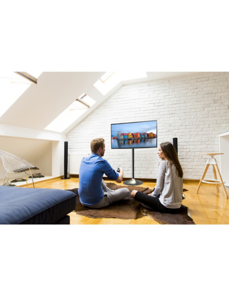 ICA-TR10,Stand pentru TV/LCD/LED, 13- 27, reglabil, Argintiu ICA-TR10 "ICA-TR10"
