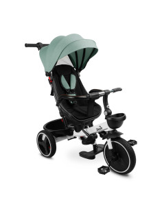 TOYZ-0358,Tricicleta cu maner parental si scaun reversibil Toyz DASH Verde