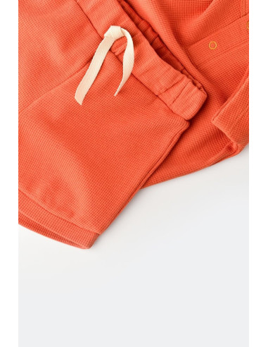 UP-BC-CSYW1021-3,Set tricou cu panataloni scurti - 100% bumbac organic - Scortisoara, Baby Cosy