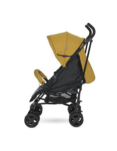 10021302338,Carucior Ida, Lemmon Curry 2