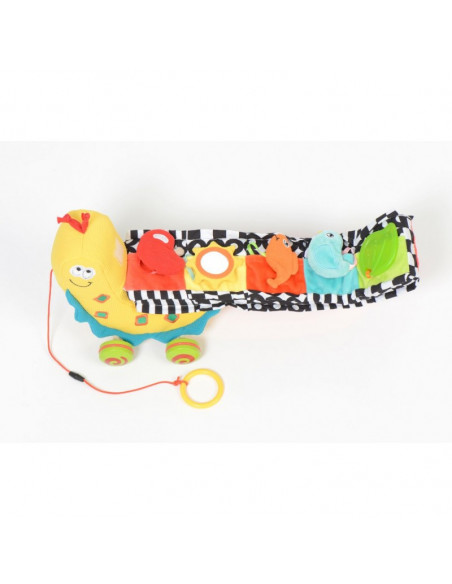 Jucarie de tras interactiva Melc cu activitati, Dolce,95316