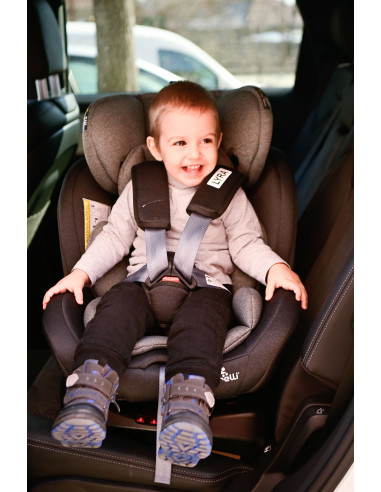 10071452339,Scaun auto Lyra Isofix, rotativ 360 grade, 0-36 kg, Black & Grey