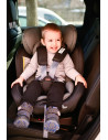 10071452339,Scaun auto Lyra Isofix, rotativ 360 grade, 0-36 kg, Black & Grey