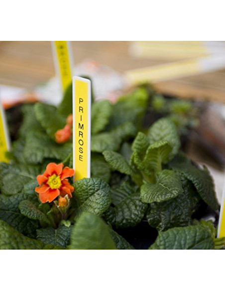 PTD210YJ1,Imprimanta de etichete Brother P-Touch PT-D210