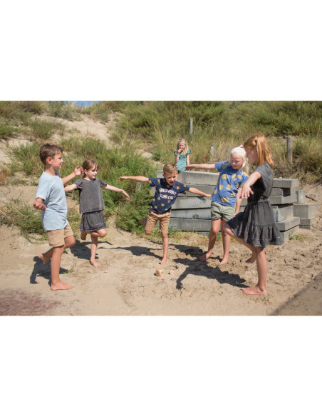 GA450,Imita pasarile, BS Toys