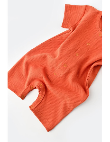 UP-BC-CSYW1015-3,Salopeta cu panataloni scurti - 100% bumbac organic - Scortisoara, Baby Cosy