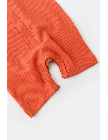 UP-BC-CSYW1015-3,Salopeta cu panataloni scurti - 100% bumbac organic - Scortisoara, Baby Cosy