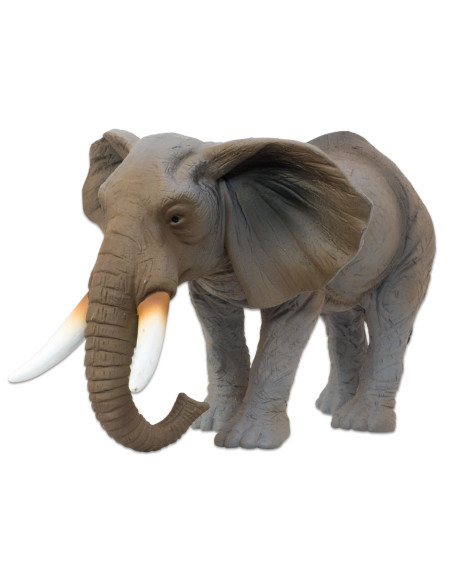 Vin55892,Set de animele din padure, domestice, salbatice si preistorice