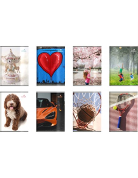 29548DR-12BUC,Set 12 x Caiet Ecada A5 48 file Dictando