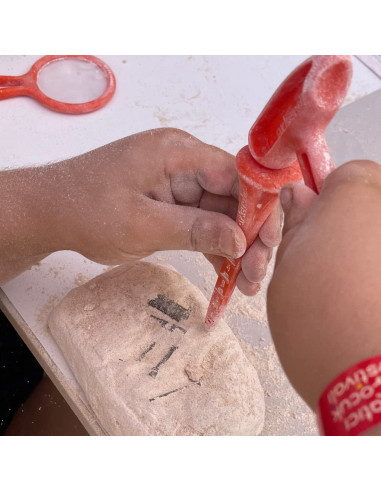 UP-ARK2247,Arkerobox - Set arheologic educational si puzzle 3D, Roma antica, Colosseum