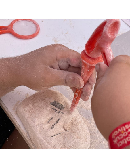 UP-ARK2247,Arkerobox - Set arheologic educational si puzzle 3D, Roma antica, Colosseum