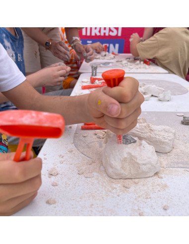 UP-ARK2582,Arkerobox - Mini set arheologic educational si puzzle 3D, Roma antica, Colosseum