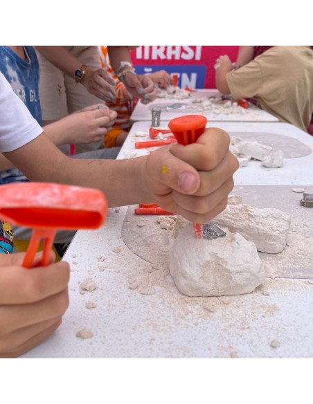 UP-ARK2582,Arkerobox - Mini set arheologic educational si puzzle 3D, Roma antica, Colosseum