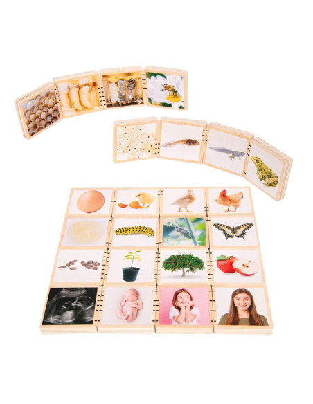TIK-73522,Ciclurile vietii, set placute din lemn, 24 buc., TickiT