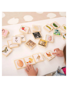 TIK-73522,Ciclurile vietii, set placute din lemn, 24 buc., TickiT 2