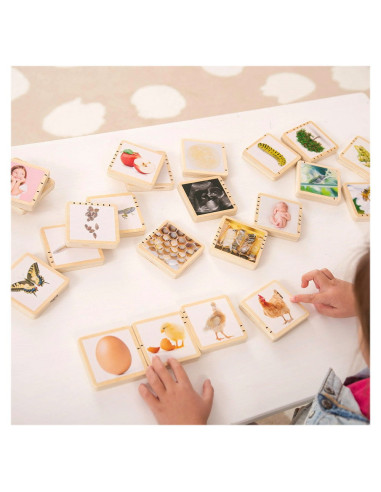 TIK-73522,Ciclurile vietii, set placute din lemn, 24 buc., TickiT